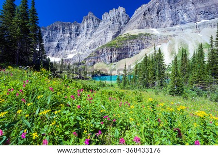 A variety of wildflowers in a meadow overlooking a glacial pond in northern Montana