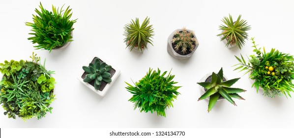 Various Artificial Plants In Pots On White Table, Top View