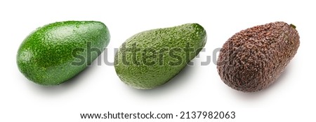 various avocado fruits isolated on white. the entire image is sharpness.