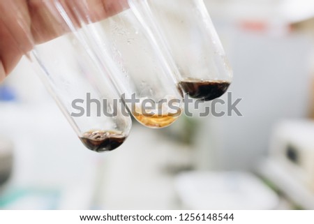 Various of Bacteria or Mold contaminated in test tube