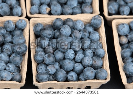 Various baskets filled with fresh cherries, raspberries, and blueberries at a market stall, showcasing vibrant colors and textures. Blueberries. Raspberries. Blackberries. Fresh Fruit. Fresh Picked. 