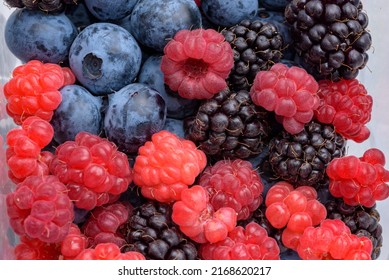 Various berries harvested (blueberry, blackberry, raspberry)