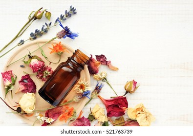 Verschiedene helle Heilpflanze auf Holzteller, ätherische Ölextraktflasche, Draufsicht. Botanische Kosmetikbestandteile, Aromatherapie-Hintergrund. Kräuterapotheke