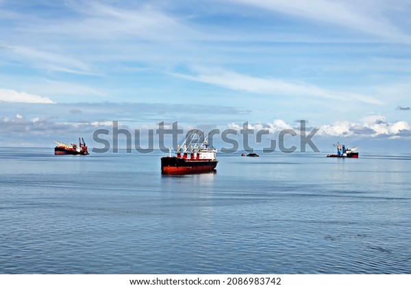 Various bulk carriers, vessels, and tugboats\
in port under cargo operations and underway. Port of Muara Pantai,\
Indonesia, January,2021