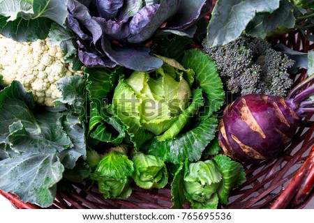 Various of Cabbage Broccoli Cauliflower. Assorted of Cabbages in Basket