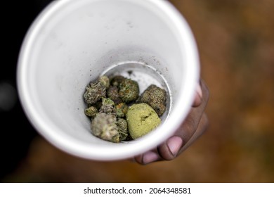 Various Cannabis Exotic Buds and Moonrocks In A Cup