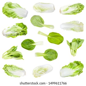 Various Chinese Cabbages (headed Napa Pekinensis Cabbage And Leaf Salad Bok Choy) Isolated On White Background
