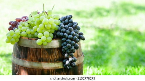 Various Colorful Grapes On Wine Barrel On Outdoor Sunny Garden With Copy Space