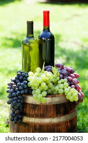 Various Colorful Grapes And Wine Bottles On Wine Barrel On Outdoor Sunny Garden