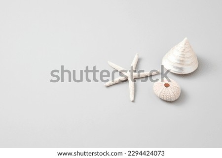 various and colorful seashell isolated on white background