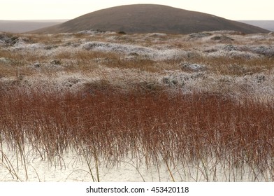 Various Colours Of The Winter Peatland, With Sletill Hill In Forsinain, North Scotland/