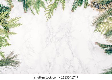 Various Coniferous Plants Branches  On White Marble Background. Holiday Season Concept. Horizontal