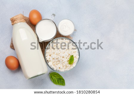 Various dairy products. Milk, cheese, cottage, sour cream. Top view flat lay with copy space