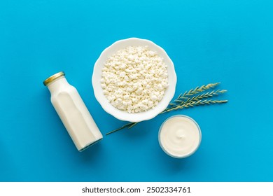 Various dairy products, top view. Milk and cottage cheese with sour cream.