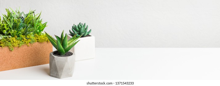 Various decorative plants in different pots on table over grey wall with copy space - Shutterstock ID 1371543233