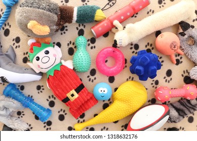 Various Dog Toys Laid Out On A Paws Patterned Dog Blanket. Colourful Plastic, Rubber And Soft Dogs Toys. Overhead Flat Lay Shot.