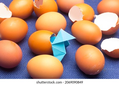 various eggshells on a studio background