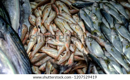 Various fish on the counter fish market at Trabzon, Turkey