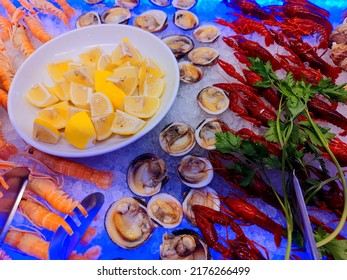Various fish, shellfish and crustaceans in a beautiful blue cooling refrigerator in a luxury seafood restaurant