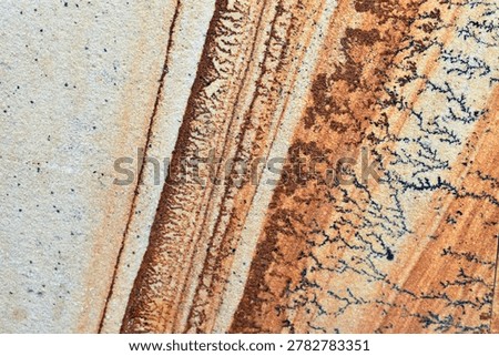 Various forms of dendrites in sandstone