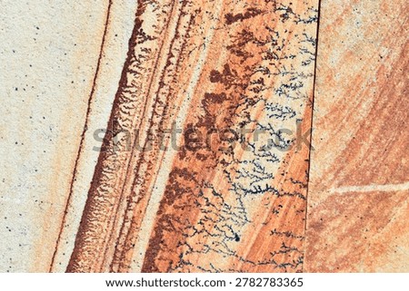 Various forms of dendrites in sandstone