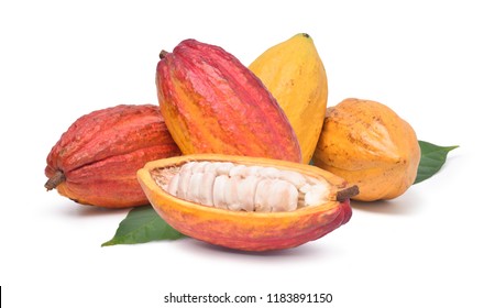 Various of Fresh cocoa fruits with half sliced and green leaf isolated on white background