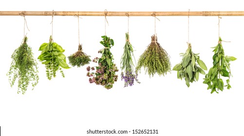 Various Fresh Herbs Hanging Isolated On White Background. Bundle Of Basil, Sage, Thyme, Mint, Marjoram, Lavender