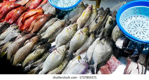 Various fresh ocean fishes sold at traditional market in Ternate, Indonesia. After the seller caught the fishes, it will be cooked into seafood and served to customers. - Powered by Shutterstock