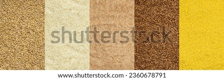 Various grain cereals banner, top view, pearl barley and white rice, wheat grits and brown buckwheat, millet