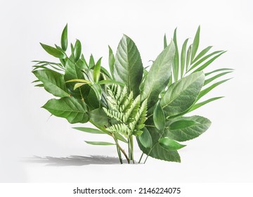 Various green tropical leaves  bunch on white table at wall background. Floral setting with palm branches. Front view. - Shutterstock ID 2146224075