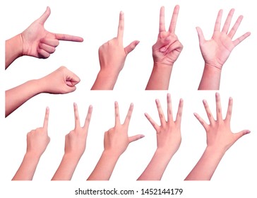 Various hand gestures above a white background. - Shutterstock ID 1452144179