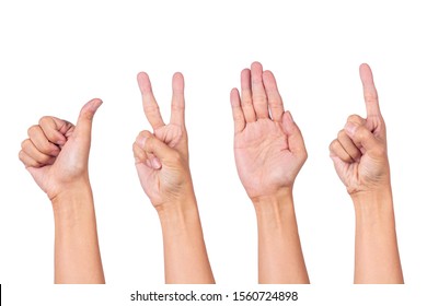 Various hand symbols isolated on white background.Thumbs up, Lift two fingers,Lift your index finger,Raise palm,