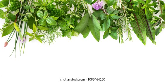 Various kinds of fresh garden herbs isolated on white background