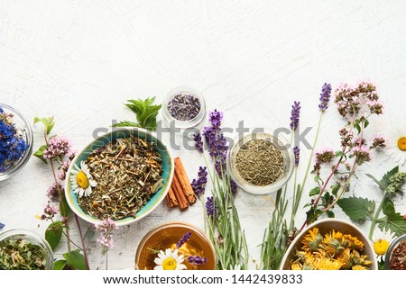 Various kinds of herbal tea. Natural herbs medicine. Top view with copy space