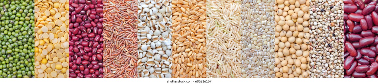 Various Kinds Of Natural Grains And Cereals, Consisted Of Green Bean, Soybean, Red Bean, Rice Seed, Wheat, And Millet, For Food Raw Material And Agricultural Product Concept