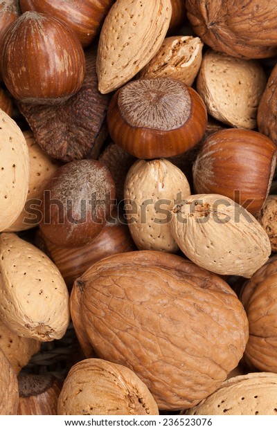 brazil nuts in shells to buy