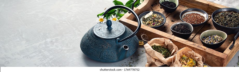 Various Kinds Of Tea. Panorama, Banner With Copy Space