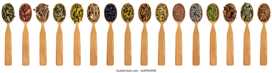 Various medicinal herbs in wooden spoons isolated on a white background. Dried medicinal plants for herbal medicine. Banner for the site title.