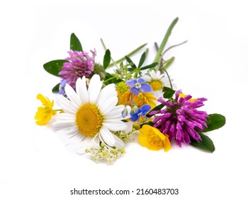 various medicinal plants isolated on white background - Powered by Shutterstock