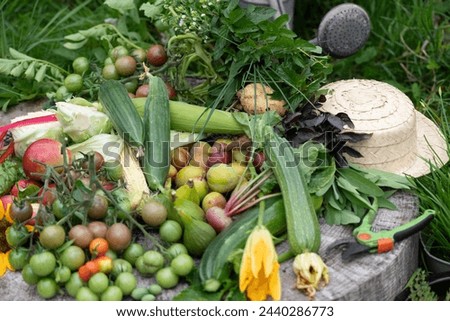 Various natural foods, including fruits and vegetables, are displayed on a rock. These plantbased ingredients are essential for a healthy diet