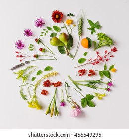 Various Natural Things Neatly Arranged In Circle. Flat Lay. Nature Concept.