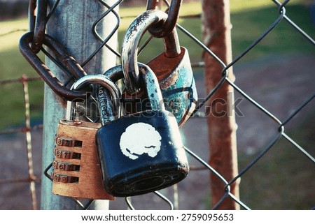 Various padlocks, including a brass combination lock and rusted iron locks, secured to a metal chain-link fence. The image represents concepts of security, privacy, safety, and restricted access, captured in warm outdoor light, close-up shot.