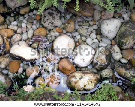 various pebble river stone in clear water stream with rock weed in pond, garden decoration with fresh and cool environment, calming in backyard relaxation corner, tranquil background closeup top view