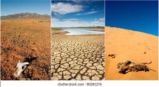 Various Photos Of Drought In Australia