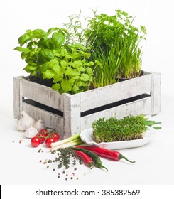 Various Popular Kitchen Herbs In Grunge Wooden Crate Decorated With Vegetables And Spices On White Background; Potted Spice Plants; Aromatic Herbs And Spices Enrich The Vegetarian Cuisine