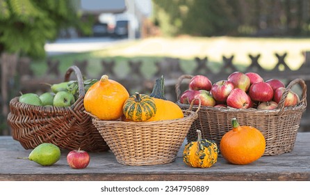 Various pumpkins. Pumpkins, apples and pears on a wooden table in baskets. Thanksgiving Day. Harvesting. - Powered by Shutterstock