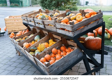 Various pumpkins in wooden boxes on farm market. Autumn harvest in outdoor grocery shop for Halloween. Authentic rural store with homegrown organic eco-friendly food in crates. Small local business - Powered by Shutterstock