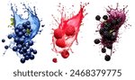 Various sets of Raspberry blueberry and blackberry with juice splash isolated.