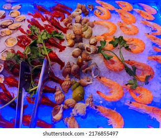 Various shellfish, fish and crustaceans in a beautiful blue cooling refrigerator in a luxury seafood restaurant