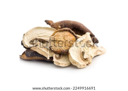 Various sliced dried mushrooms isolated on the white background.